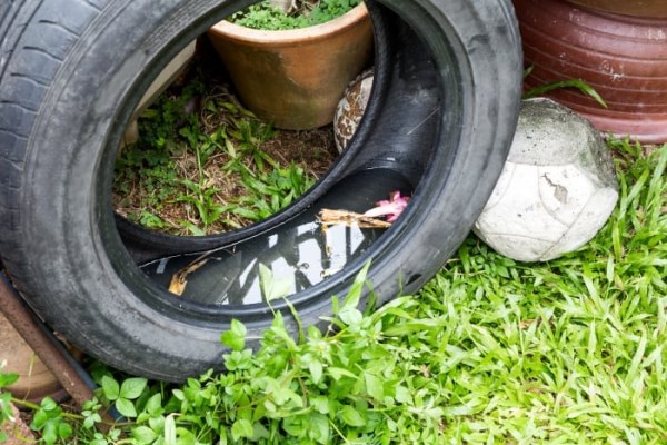 Barbadians Urged To Clean Up Their Act