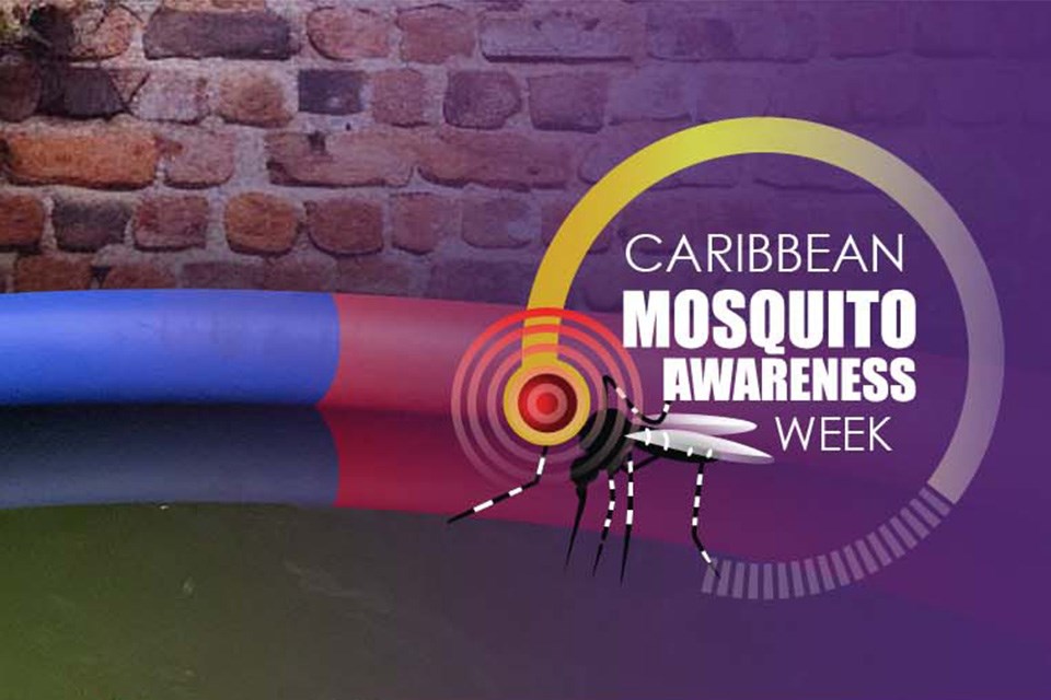 Caribbean Mosquito Awareness Week 