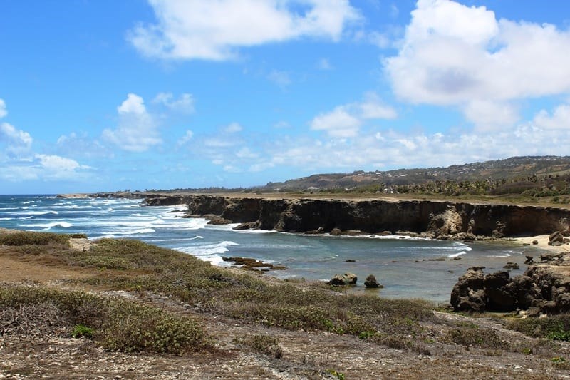 Wellness Hike In River Bay, St. Lucy Tomorrow