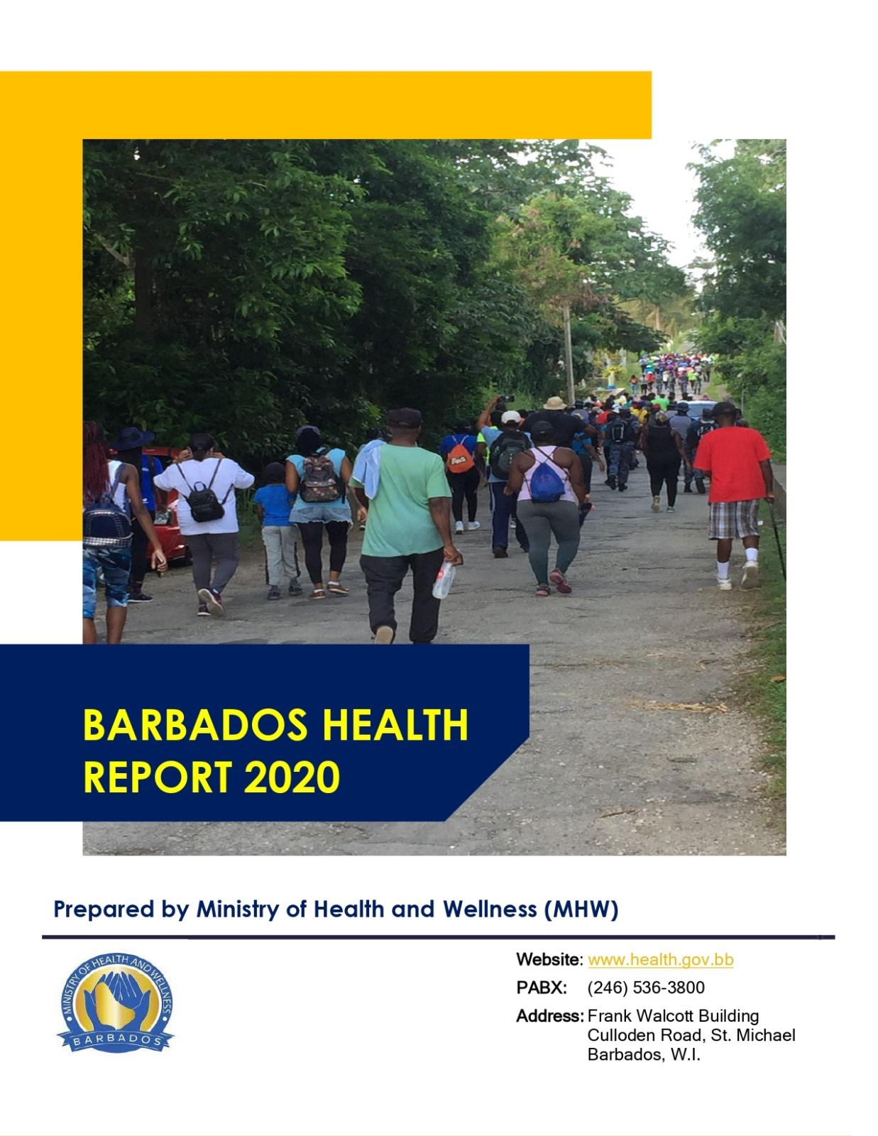 Barbados Health Report - 2020