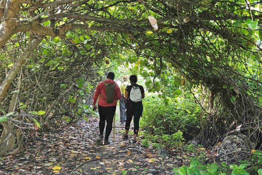 Next Wellness Hike In St. John This Month