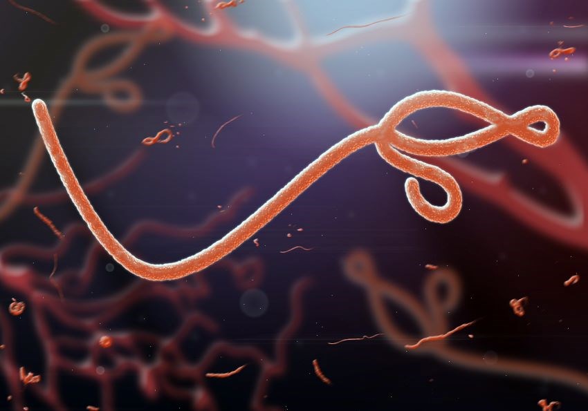 Update On Ebola Risk Assessment & Barbados’ Preparedness
