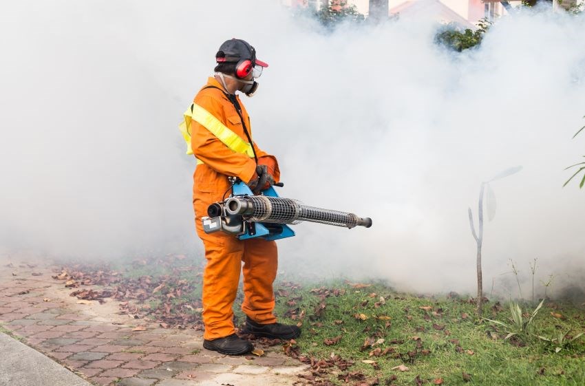 Fogging Heads To Christ Church Next Week