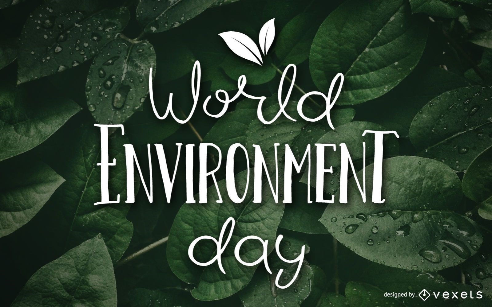 World Environment Day