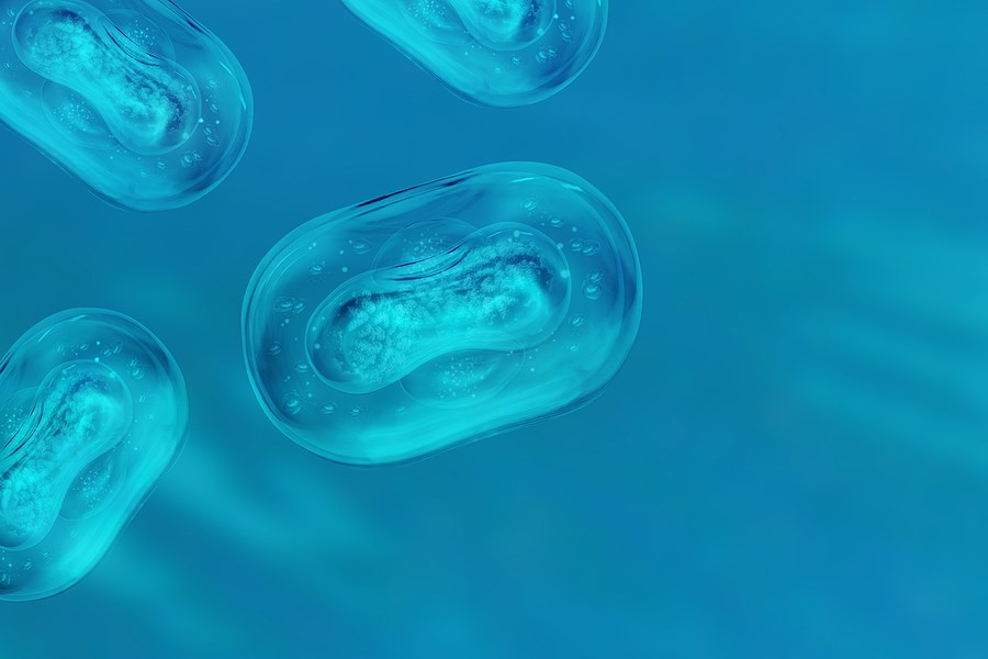 New Mpox Cases In Barbados