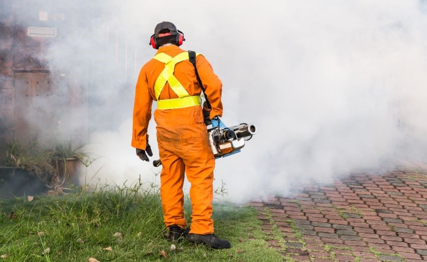 Three Days Of Fogging In St. James