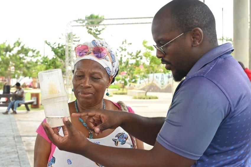 Showcase Brings Awareness About Mosquitoes